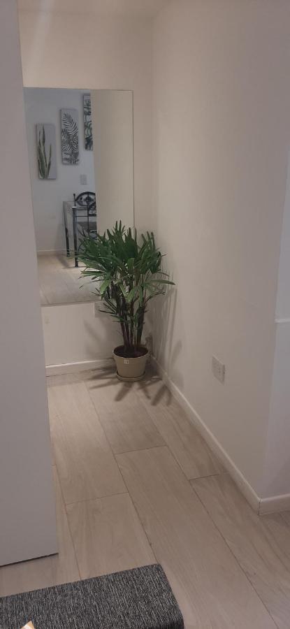 Appartamento Coqueto Loft Palermo Hollywood *